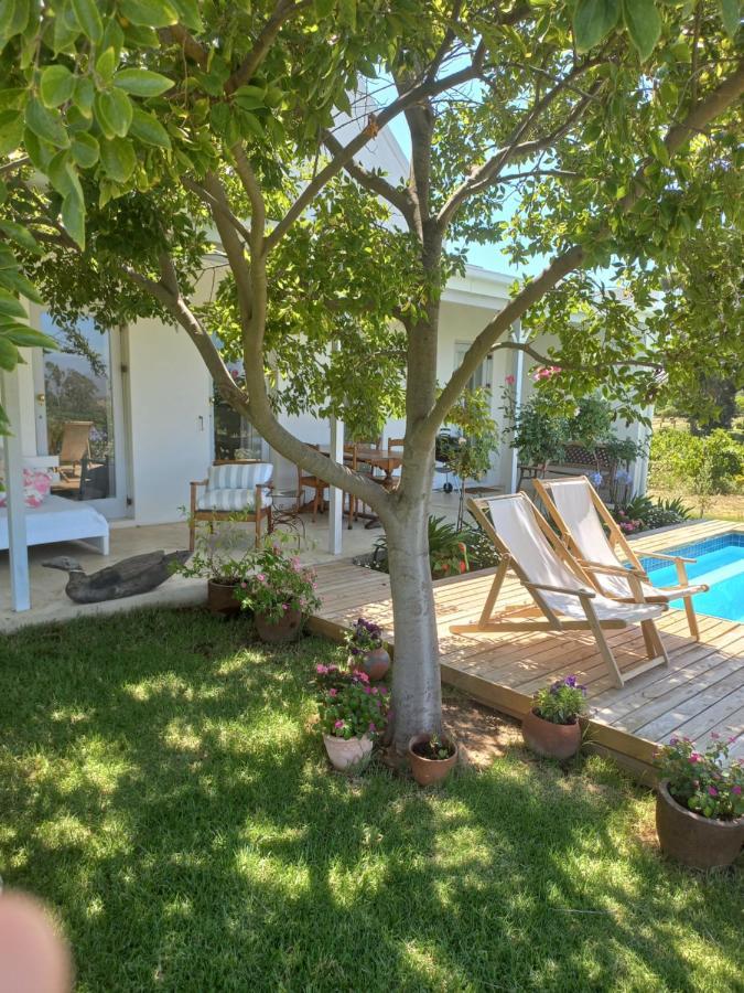 Klaasvoogds Cottages 罗伯森 外观 照片